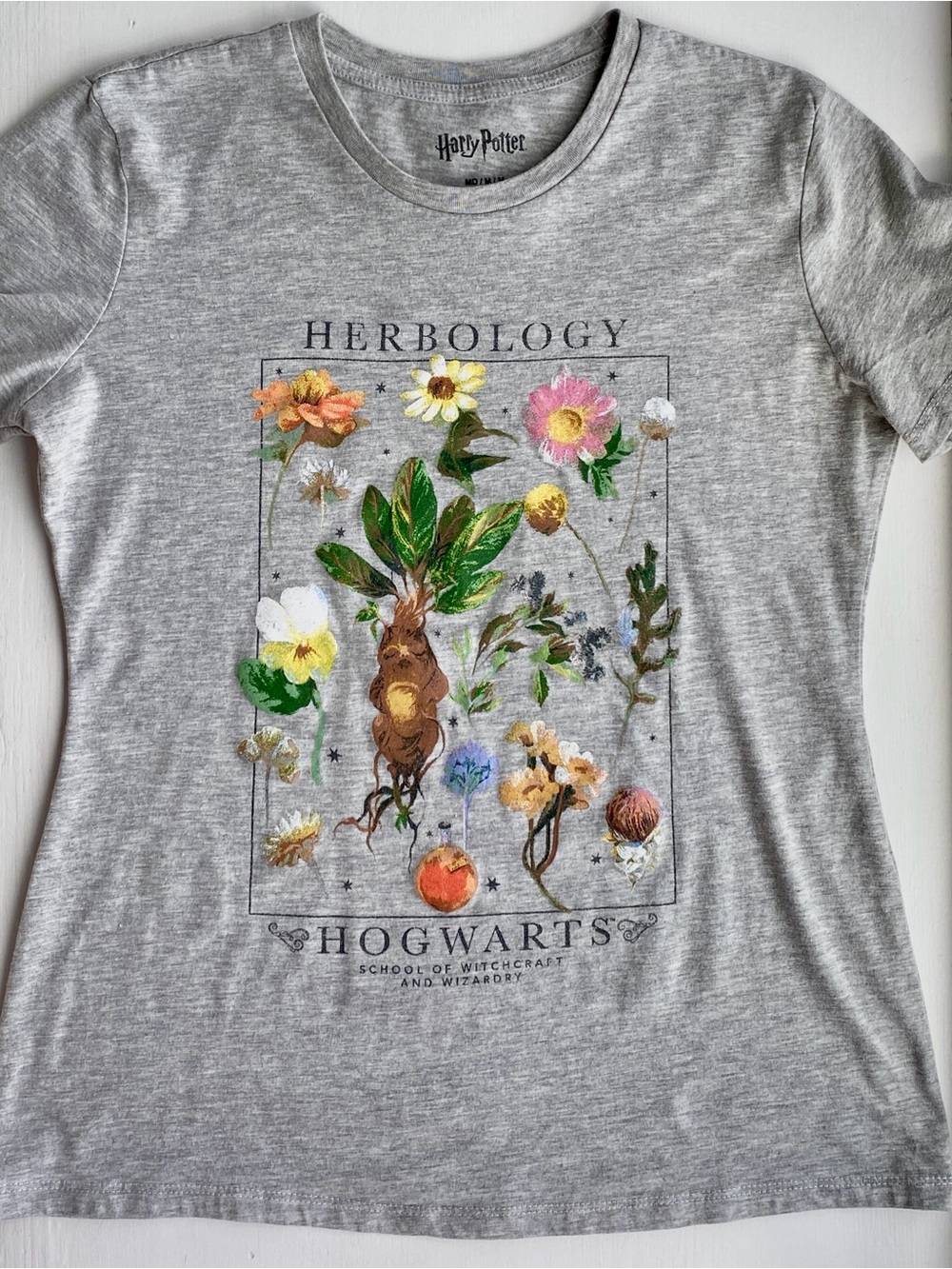 Warner Bros. Harry Potter Floral Herbology Tee in Gray - Picture 2 of 3
